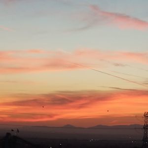 Meet your Posher, Art